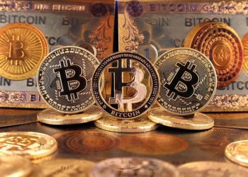 Bill Miller: "Bitcoin là bảo hiểm chống lại thảm họa tài chính”