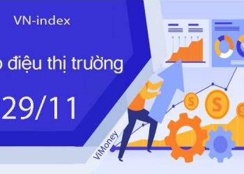 ViMoney-nhip-dieu-thi-truong-29-11