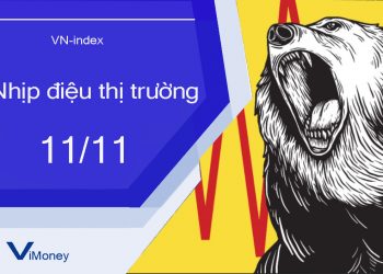 ViMoney-nhip-dieu-thi-truong-chung-khoan-11-11