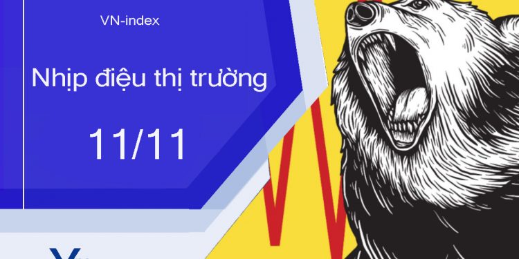 ViMoney-nhip-dieu-thi-truong-chung-khoan-11-11