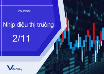 ViMoney-nhip-dieu-thi-truong-chung-khoan-2-11