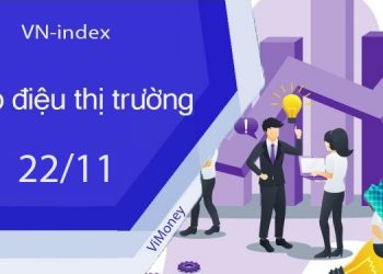 ViMoney-nhip-dieu-thi-truong-chung-khoan-22-11