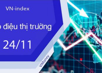 ViMoney-nhip-dieu-thi-truong-chung-khoan-24-11