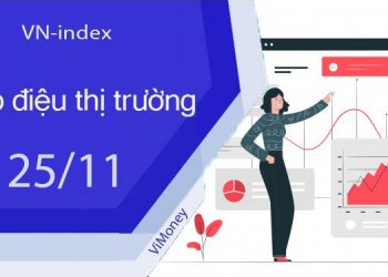ViMoney-nhip-dieu-thi-truong-chung-khoan-25-11