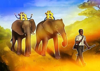 Zimbabwe có thể là quốc gia tiếp theo chấp nhận đồng Bitcoin làm đồng tiền pháp định