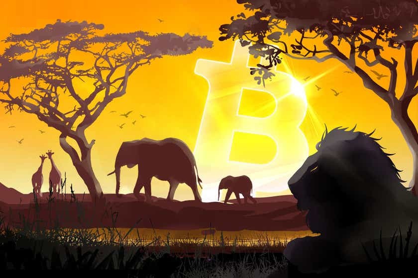 Zimbabwe có thể là quốc gia tiếp theo chấp nhận đồng Bitcoin làm đồng tiền pháp định