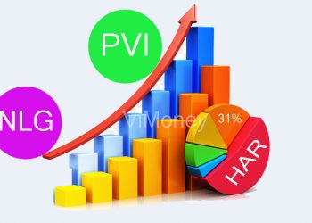 Vimoney-diem-tin-doanh-nghiep-11-11-PVI-HAR-NLG