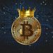 ViMoney - 5 công cụ dự đoán giá Bitcoin hàng đầu