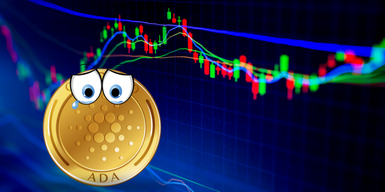 ViMoney: Thủng mức thấp nhất trong 2 tháng, giá Cardano sẽ phục hồi mạnh ở mức hỗ trợ 1 USD?