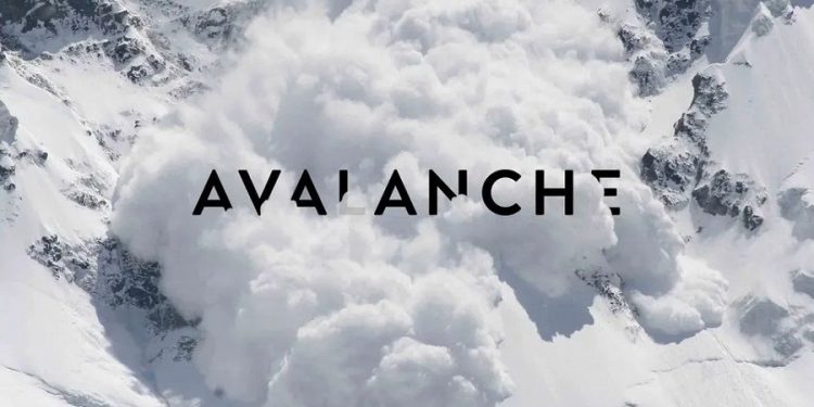 AVAX, ENJ and EGLD liên tiếp đạt mức cao nhất mọi thời đại, cho thấy đây là “altseason”, mùa của altcoin