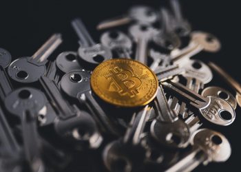 Tuần 44: Doanh thu hàng ngày của thợ đào Bitcoin tăng lên 60 triệu USD khi phí tăng