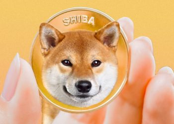 ViMoney: Đâu là giá Shiba Inu cho thời gian sắp tới?