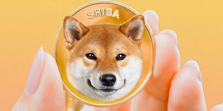 ViMoney: Đâu là giá Shiba Inu cho thời gian sắp tới?
