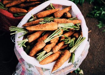 ViMoney - Taproot có thực sự kích hoạt hợp đồng thông minh trên Bitcoin không?