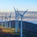 Kịp vận hành thương mại, 69 nhà máy điện gió vẫn được hưởng giá FIT ưu đãi