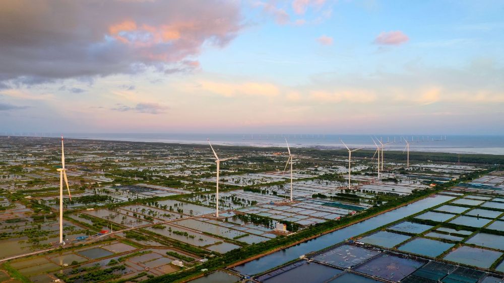 Vận hành nhà máy điện gió lớn nhất Đồng bằng sông Cửu Long