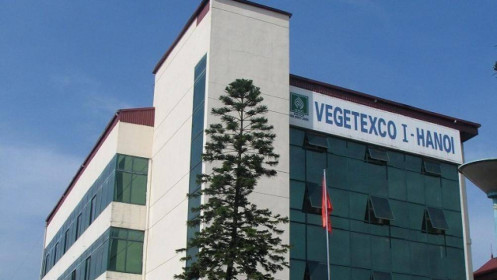 Vegetexco nhận án phạt 85 triệu đồng