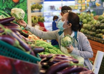 “Giấu” báo cáo tài chính, Vegetexco nhận án phạt 85 triệu đồng