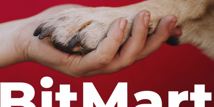 ViMoney: Shiba Inu, Houbi lên tiếng ủng hộ BitMart sau vụ hack 200 triệu USD