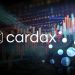 ViMoney: Sàn giao dịch tiền điện tử phi tập trung Cardax (CDX) sẽ ra mắt trên Cardano (ADA)