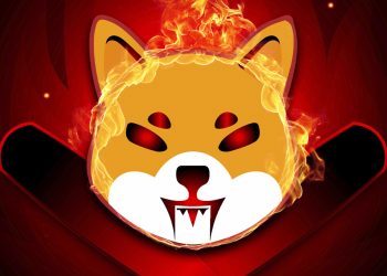 ViMoney: Bữa tiệc đốt coin: 2 tỷ SHIB có thể sẽ bị đốt vào tháng 12?