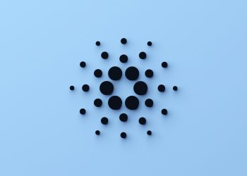 ViMoney: Giao dịch cá voi Cardano tăng nhẹ, có thể là cú lội ngược dòng? Nắm bắt cơ hội tích lũy ADA cho dài hạn