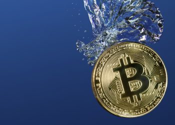 ViMoney; Bitcoin có thể vẫn chưa chạm đáy, theo huyền thoại giao dịch Peter Brandt