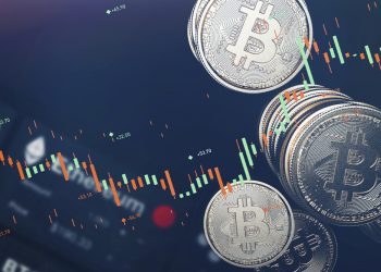 Đâu là số Bitcoin mà Tesla, MicroStrategy, các công ty, quốc gia và tư nhân sở hữu?