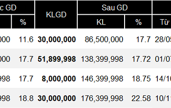 ViMoney: Tất tay gom cổ, mạnh tay xả hàng - Những giao dịch mua bán cổ phiếu ấn tượng nhất trên sàn năm 2021