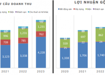 ViMoney: IJC, HDG, SBT - Các công ty chứng khoán kỳ vọng mức giá mục tiêu nào? Doanh thu lợi nhuận HDG