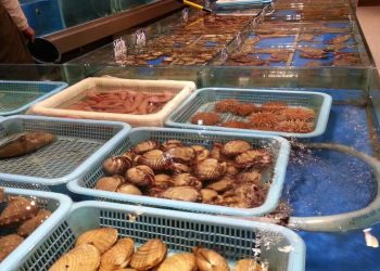 Từ ô tô điện đến thủy sản, các công ty Trung Quốc lao đao vì chiến dịch “Zero covid”