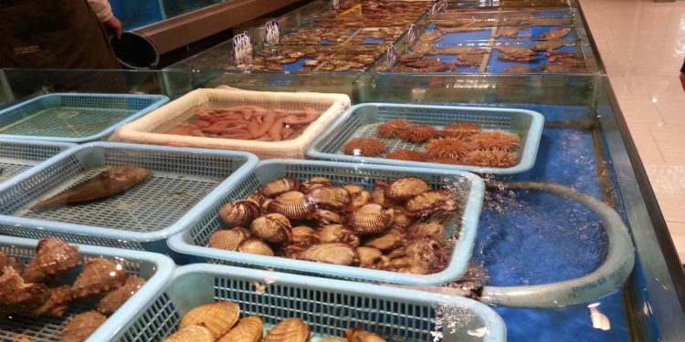 Từ ô tô điện đến thủy sản, các công ty Trung Quốc lao đao vì chiến dịch “Zero covid”