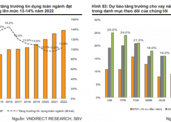 VNDirect: NIM ngân hàng có thể giảm – Ngành ngân hàng liệu có còn hấp dẫn trong năm 2022?