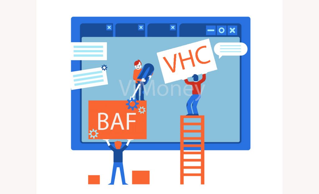 Điểm tin doanh nghiệp 11/12: BAF mua 99% cổ phần RICO Tây Ninh, VHC sắp thực hiện trả cổ tức 20% bằng tiền