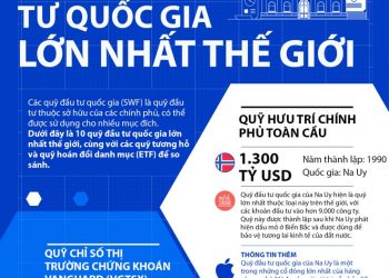 Các quỹ đầu tư Chính phủ trên thế giới, mô hình có nên áp dụng tại Việt Nam với SCIC?