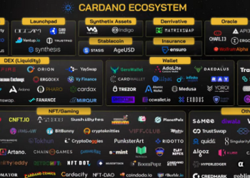 ViMoney-tổng quan về 5 dự án DEX xây dựng trên nền tảng Cardano được mong chờ nhất và tiềm năng tăng giá của ADA