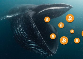 El Salvador trở thành cá voi bitcoin khi sở hữu 1.400 BTC trong năm 2021