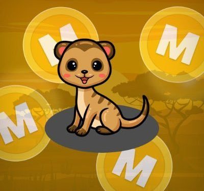 Mongoose Coin (MONG) và tỷ suất hoàn vốn 80.000% ngay khi ra mắt