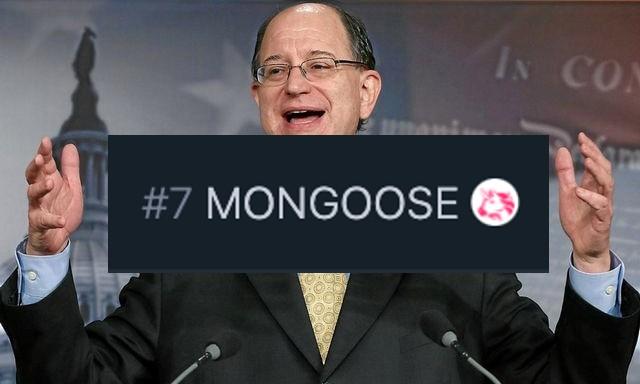 Mongoose Coin (MONG) và tỷ suất hoàn vốn 80.000% ngay khi ra mắt