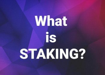 Staking Pool là gì? Cách thức hoạt động của Staking Pool