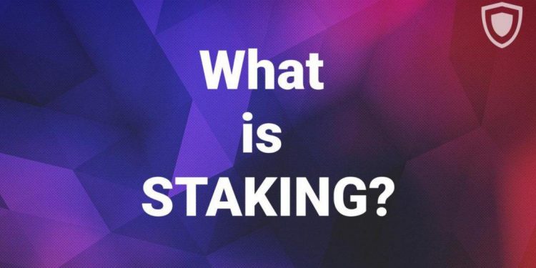 Staking Pool là gì? Cách thức hoạt động của Staking Pool