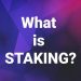 Staking Pool là gì? Cách thức hoạt động của Staking Pool