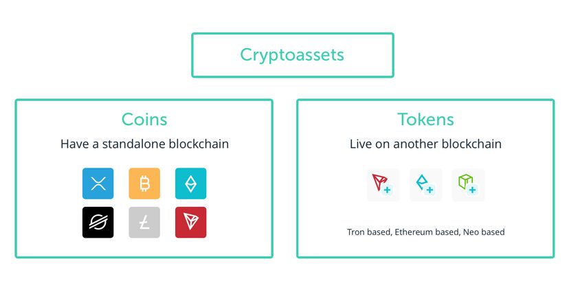 ViMoney: Coin là gì? Token là gì? Sự khác biệt giữa coin và token - h4
