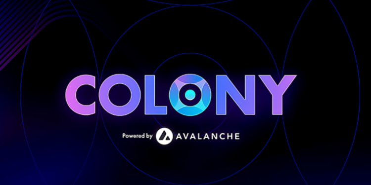 Colony huy động thành công 18,5 triệu USD từ vòng hạt giống