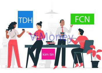ViMoney-diem-tin-doanh-nghiep-TDH-FCN-Kim-tin