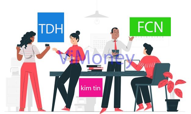 ViMoney-diem-tin-doanh-nghiep-TDH-FCN-Kim-tin