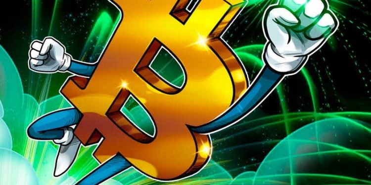 Đồng Bitcoin đã tăng từ 7% lên 36% vào tuần đầu tiên hàng năm kể từ 2018Đồng Bitcoin đã tăng từ 7% lên 36% vào tuần đầu tiên hàng năm kể từ 2018