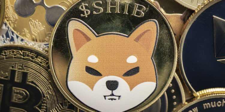 Shiba Inu (SHIB) được chấp nhận trên GameStop, Nordstrom, Lowe's, Petco, Bed Bath & Beyond, và Ulta Beauty