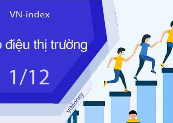 ViMoney-nhip-dieu-thi-truong-chung-khoan-1-12