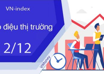 ViMoney-nhip-dieu-thi-truong-chung-khoan-2-12